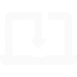 Custom Software Integration